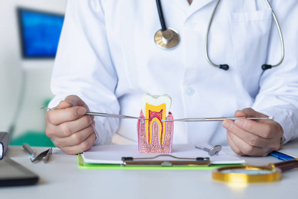 Best Emergency Tooth Extraction in Lofall, WA